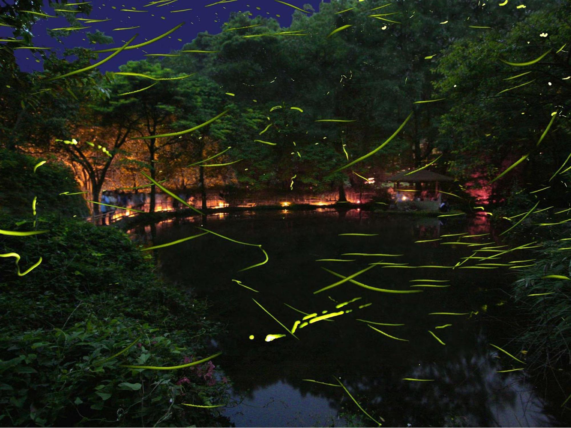Отель Izu Katase Onsen Ayumitei Fukumatsuso Хигасиидзу Экстерьер фото